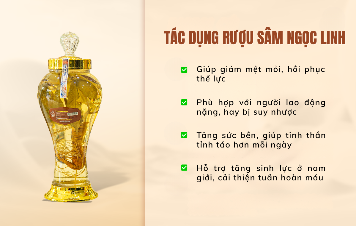 rượu sâm ngọc linh giá bao nhiêu